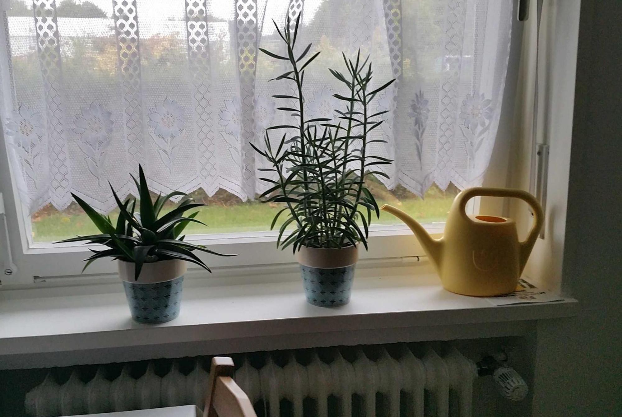 Ferienwohnung Rombachs Spatzennest Herbolzheim Εξωτερικό φωτογραφία